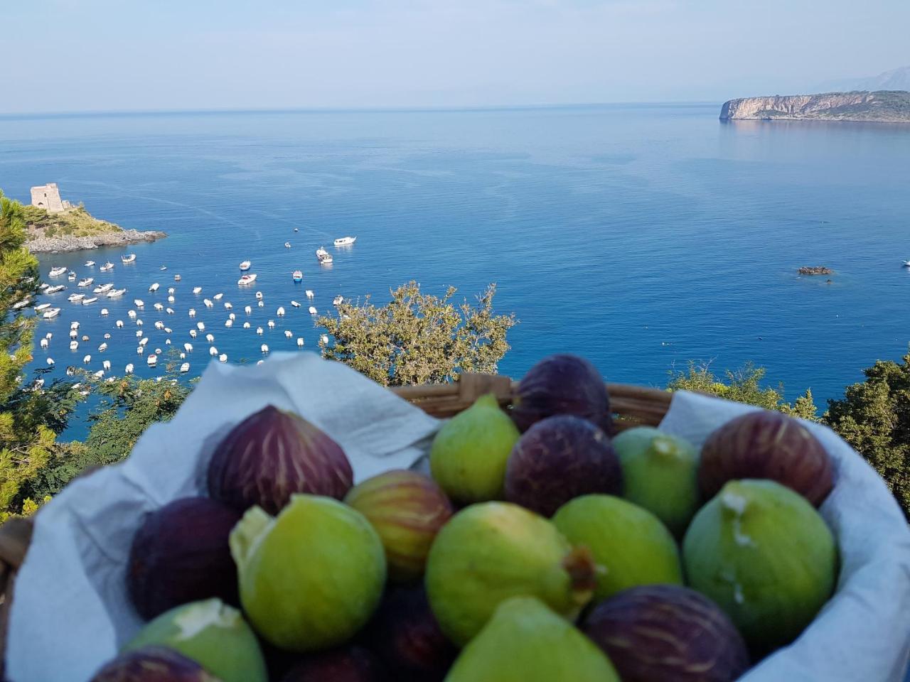 Villa Crawford San Nicola Arcella Ngoại thất bức ảnh